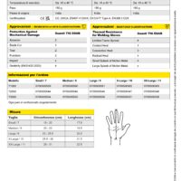 SCHEDA TECNICA GUANTI TIG L_page-0002